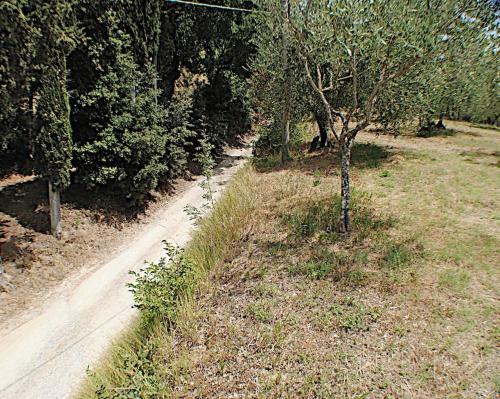 Apartamento Papaiano 1