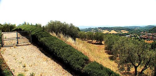 Apartamento Papaiano 1