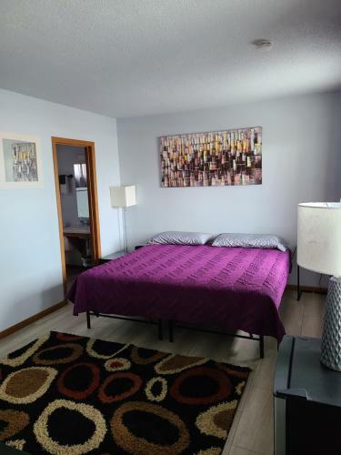 Hotel Viking Inn Clara City