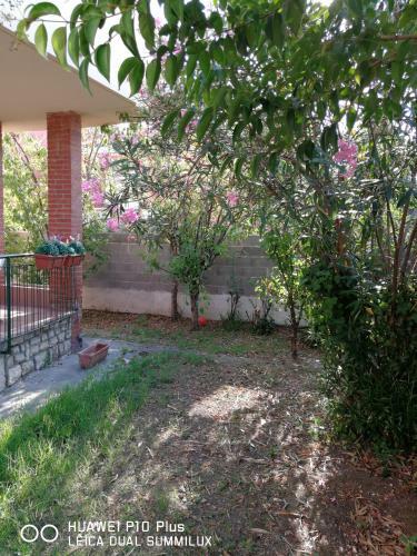 Hostal Villa Galilei Rooms