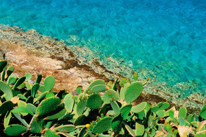 Hotel Blue Palace Resort And Spa