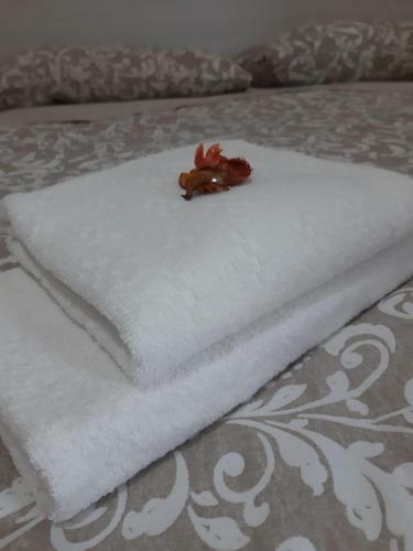 Hostal Sleep&go Airlines Pisa