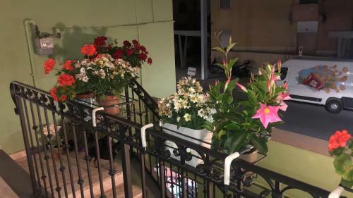 Hostal "tom & Jerry" Da Anna