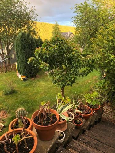 Apartamento Fewo Kuller