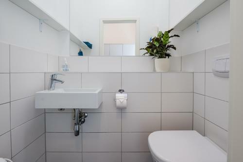 Apartamento Haus �skulap - Altstadt, Hafen, Gallimarkt