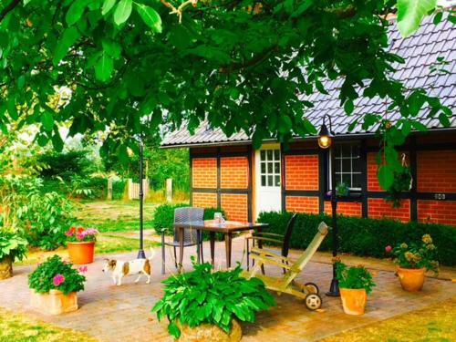 Hostal M�nsterland Cottage