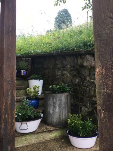 Platell Ferienh�user Lerbach