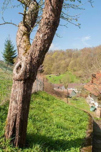 Platell Ferienh�user Lerbach