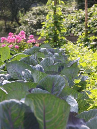 Apartamentos Ferienhof Richard
