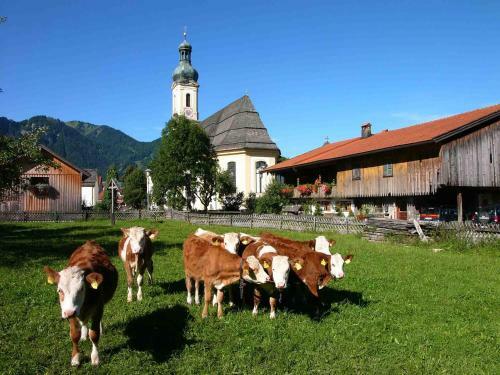 Apartamento G�stehaus Weissenbauer