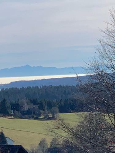 Apartamento Schwarzwald-blick Lenzkirch-saig