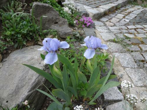 Bed & Breakfast B & B G�stehaus Schmidt