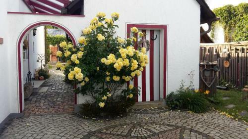 Bed & Breakfast B & B G�stehaus Schmidt