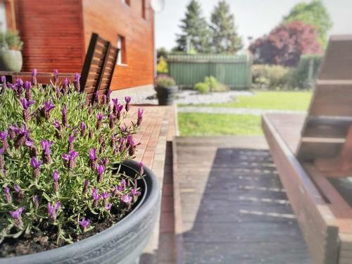 Apartamento Ferienwohnung Sophia