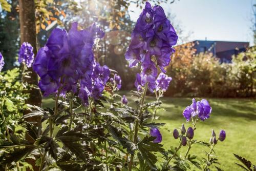 Bed & Breakfast Alte Molkerei