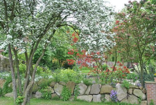 Apartamento Feriengl�ck Lindwedel