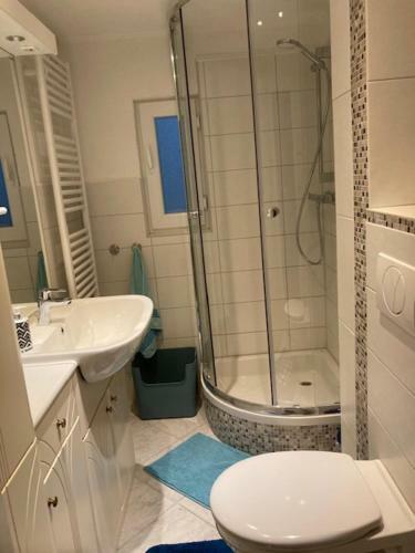Apartamento Ferienwohnung Hoverla