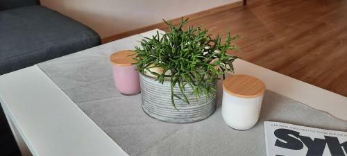 Apartamento Hafenliebe