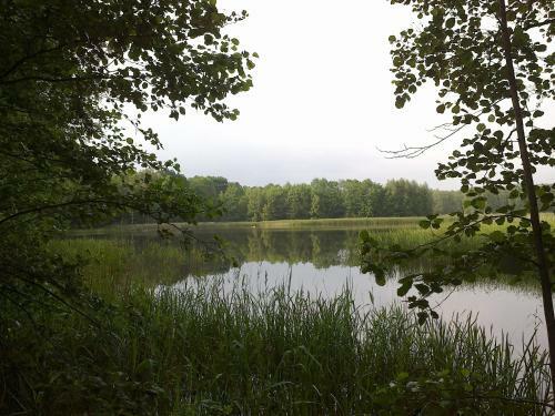 Ferienhaus Knappensee