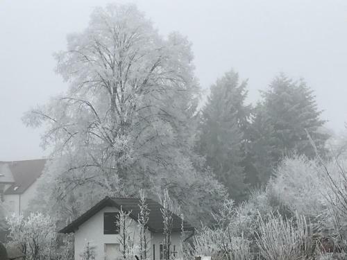 Apartamento Ferienwohnungen Beckendorf Schiller