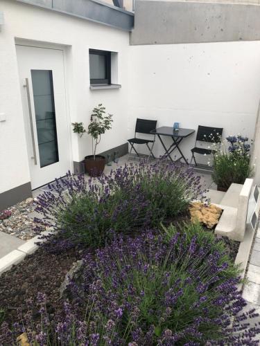 Apartamento Ferienwohnung No.55