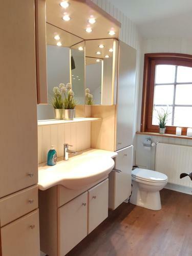 Apartamento Ferienwohnungen-deichgraf
