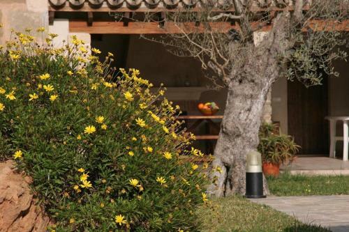 Villa Butxaco