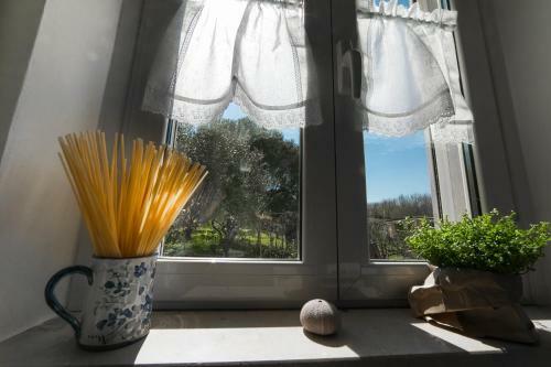 Apartamento Reginella Al Mare