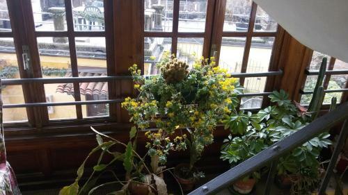 B&B Il Terrazzo