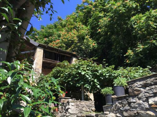 La Casa Dei Nonni Con Spa Privata A Pagamento