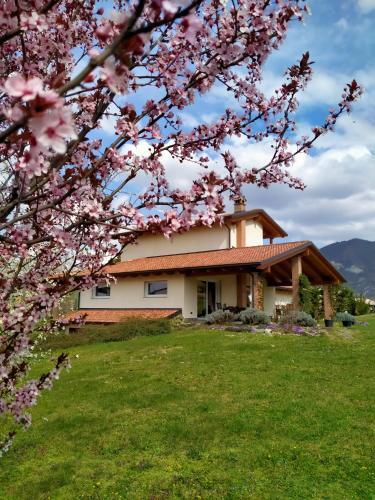 Bed & Breakfast Timo E Rosmarino