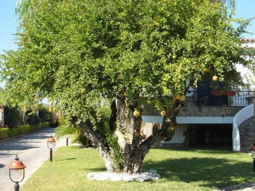 B&B Villa Lura Pompei