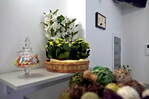 Hostal B&B Le Magnolie