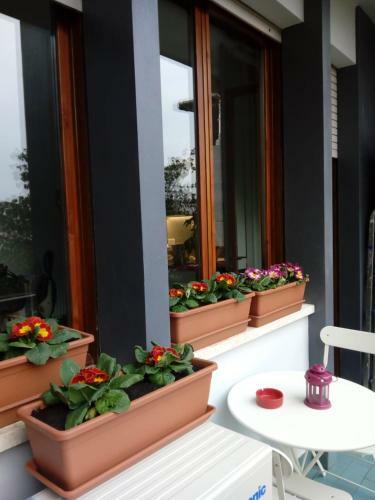 B&B Xenia