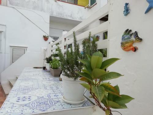 Apartamento Casa Margherita