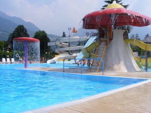 International Camping