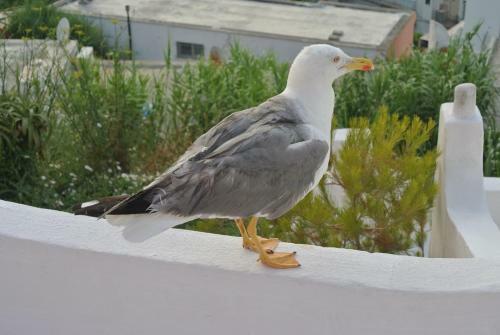 Bed & Breakfast Casa Carmela