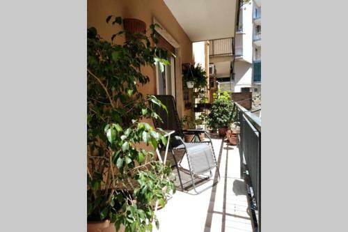 Apartamento Verde Centrale Home