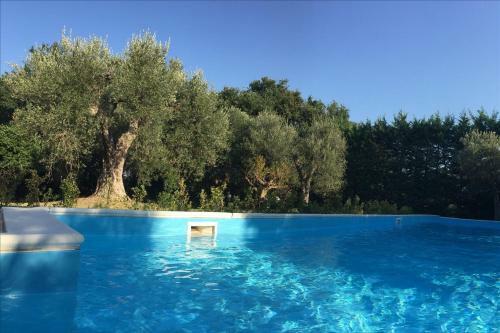Bed & Breakfast Villa Degli Ulivi