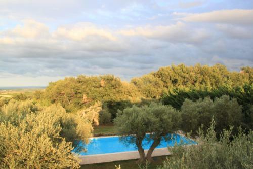 Bed & Breakfast Villa Degli Ulivi