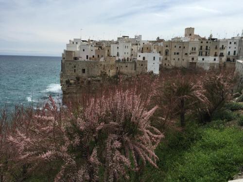 La Casetta 19