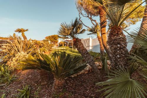 Bed & Breakfast Echi Di Puglia Marsento