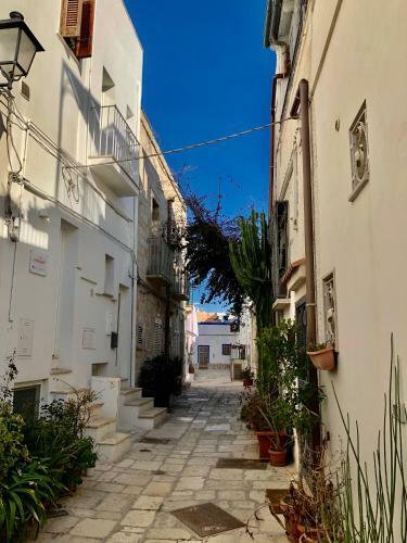 Apartamento Al Civico 3 Centro