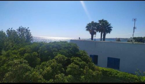 Hostal Terra Mia A Mare