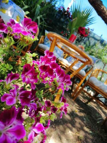 Bed & Breakfast Lumie Di Sicilia