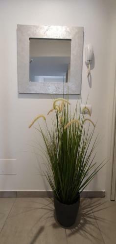 Apartamento Stella Azzurra