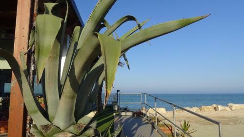 Apartamento La Magnolia