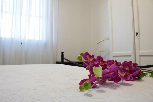 Apartamento Sol Leone