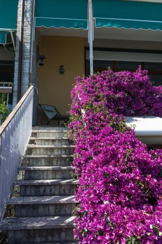 Casa Del Capitano, Terre Marine