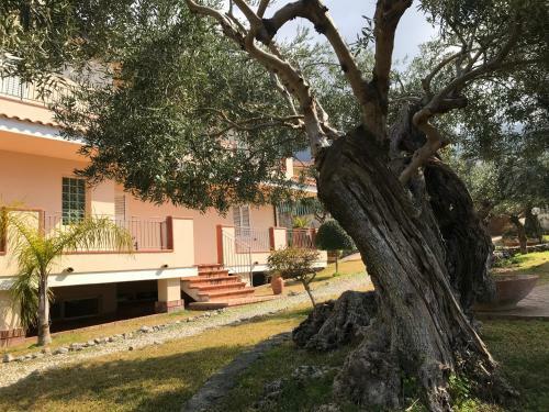 B&B Villa Degli Ulivi